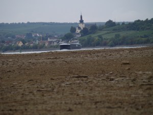 Ausgetrockneter Rhein 2015