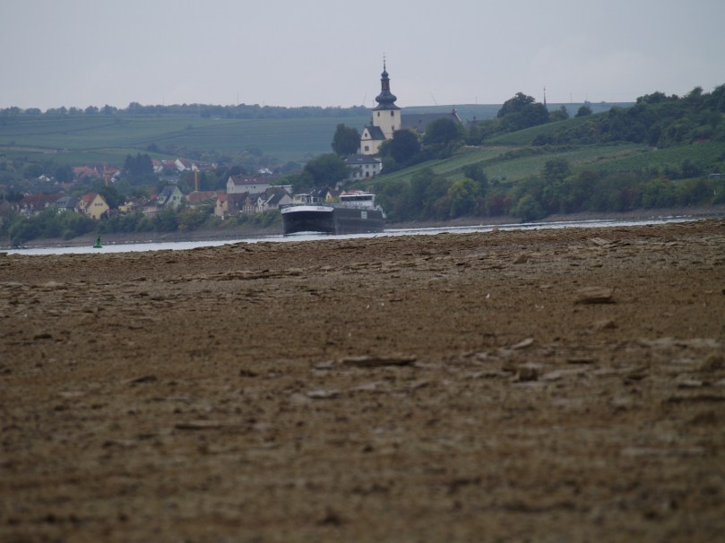 Ausgetrockneter Rhein 2015