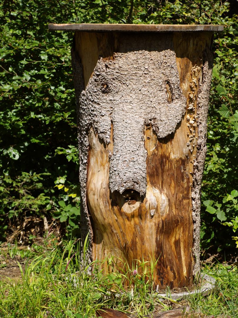 Ursprüngliche Bienenbehausung - eine Baumstamm
