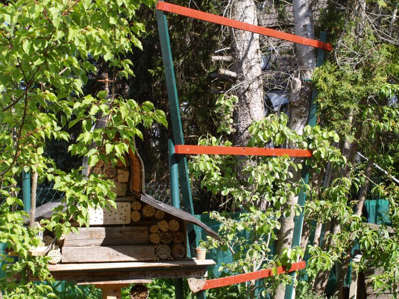 Wildbienennisthilfe zwischen den Bäumen