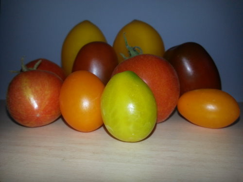 Tomatenvielfalt