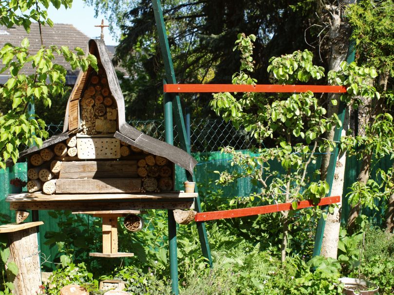 Wildbienenkapelle zwischen Birnbaum und Nektarine