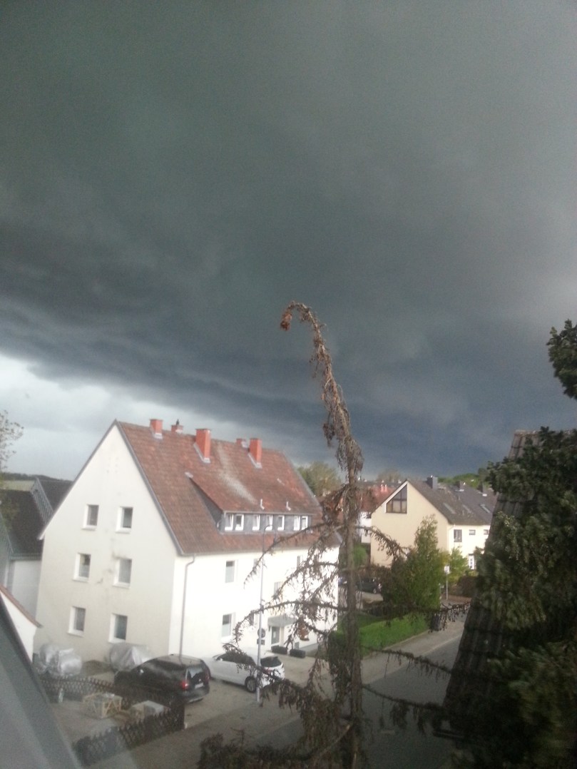 Ein Bild - zwei Extreme: Gewitter im Anzug und im Vordergrund eine vertrocknete Blautanne