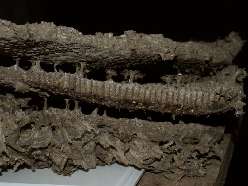 Verflüffende Architektur