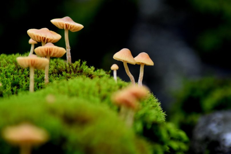 Aber dann in all ihrer Schönheit.