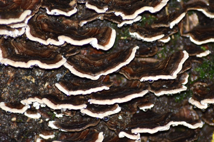 Daher heißt das Motto: Die Augen offen halten für den Moment, für das Glück, das kleine Wunder.
