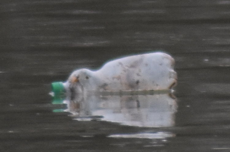 In einer Sekunde landet sie im Rhein - und braucht hunderte Jahre zum Zerstetzen.