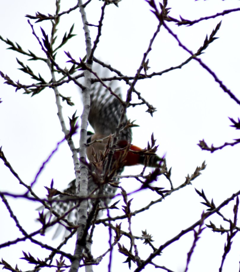 ...und macht den Abflug