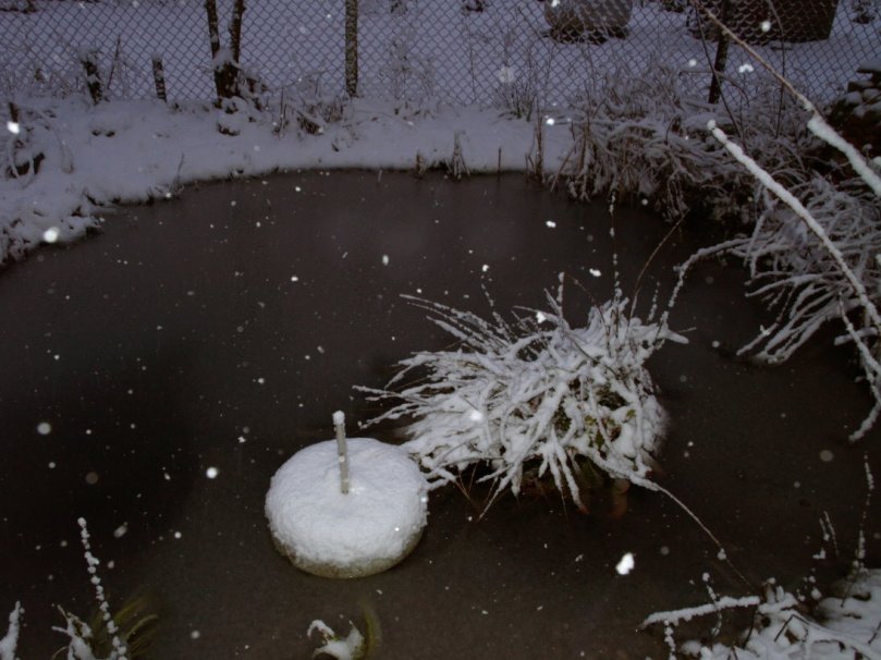 Und still ruht mein See - oder eher Teich...