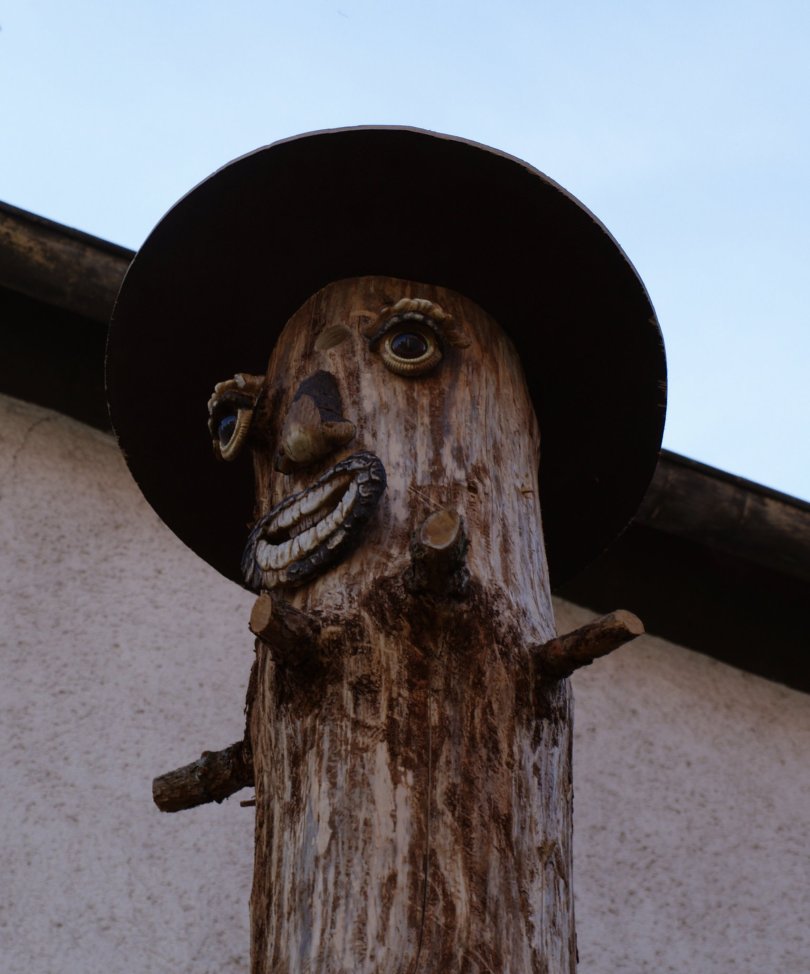 Baumgesicht mit Meise... Den Stamm haben wir mit einem "Baumgesicht" dekoriert, doch hier zählen vor allem die "inneren Werte". Denn unter dem Hut aus Holz, den man hier von unten sieht, ist es hohl. Leider gab es keine spezielle Ausführung des Gesichts, angepasst an US-Präsiendenten... ;-) Da hätte sich auch die Kohlmeise sicher nicht wohlgefühlt, also passt das schon so. Denn über der Nase des Gesichts sieht man das Einflugloch für eine Nisthöhle, an der sich heute schon ein Meisen-Mann mit seiner Partnerin zu schaffen gemacht hat.
