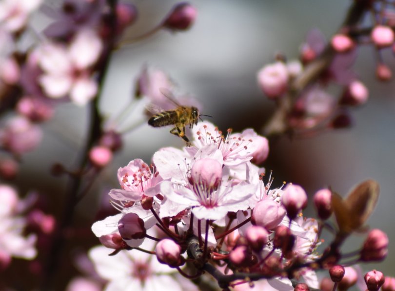 Frühling im Anflug...