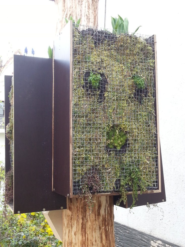 Die vertikalen Beete