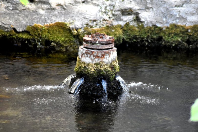 Hier entspringt der Quell des Lebens: 90 Liter pro Sekunde strömen aus dieser Quelle im rheinhessischen Westhofen und fließen über die Seebach (ja, "die" ist korrekt) in den Rhein. Doch bevor das Wasser dort ankommt, trägt es zum Wunder des Lebens bei.