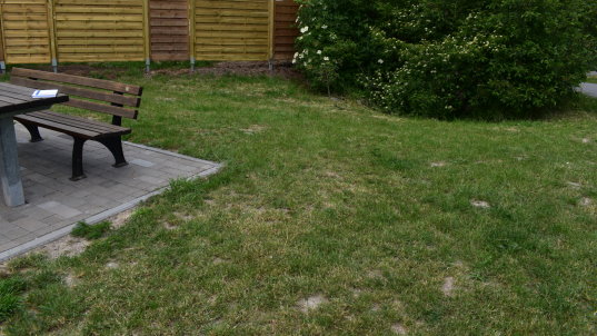 Hier entsteht evtl. eine Trockenmauer und ein Wildbienen-Hotel aus Paletten inkl. Sandarium. Noch sind wir am Planen.