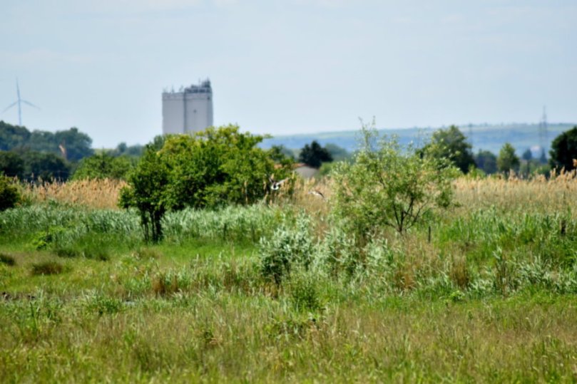 Inmitten von Landwirtschaft, Siedlungen und Straßen findet man dieses verblüffend große Gebiet.