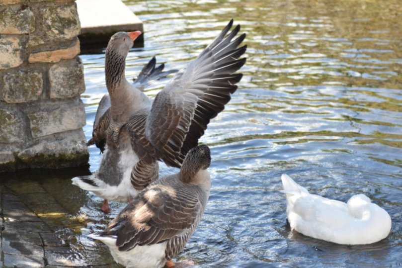 Doch zunächst hieß es: Herzlich Willkommen, folgen Sie mir in die Seebach.