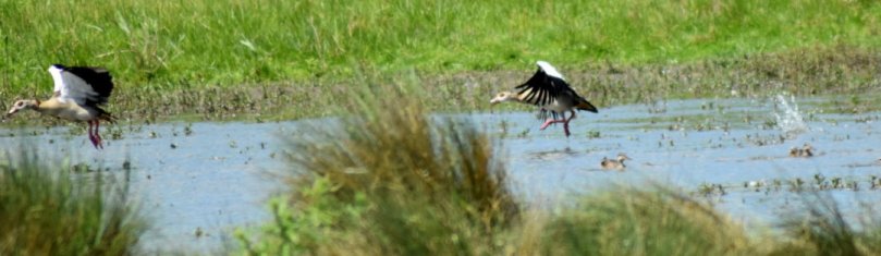 Jetzt aber schnell weg...