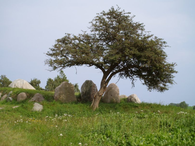 Langgrab in Dänemark