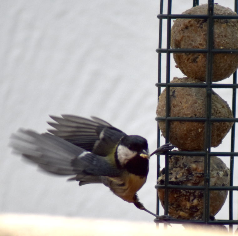 Rettet die Superhelden