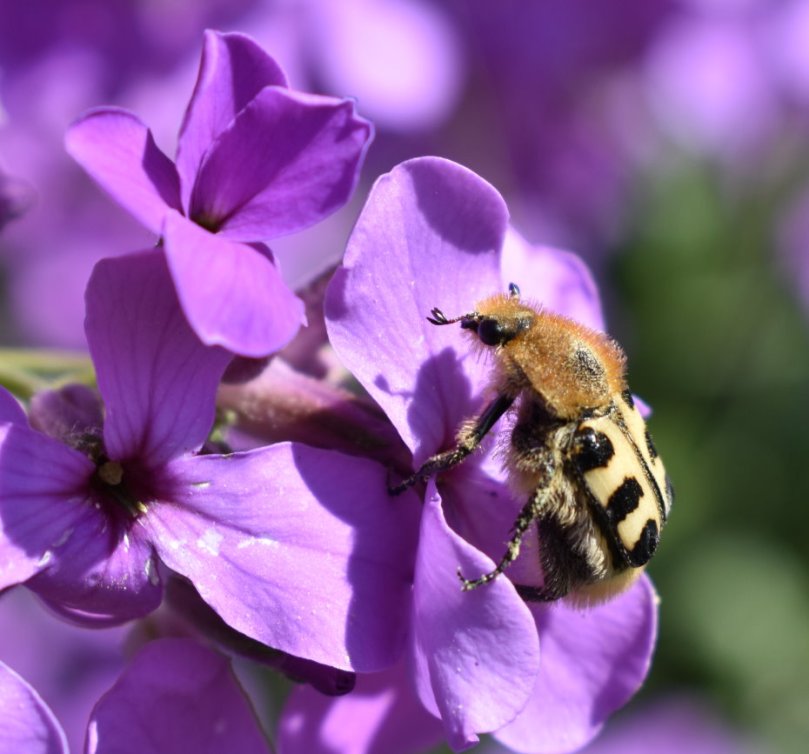 Oder wollte nicht aufs Foto...