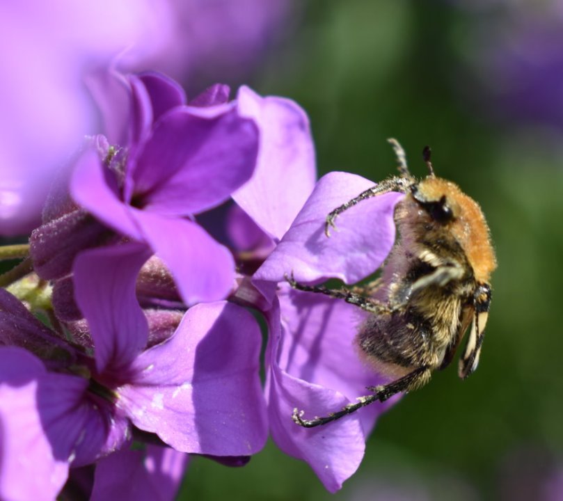 Und schließlich machte er den Abflug.