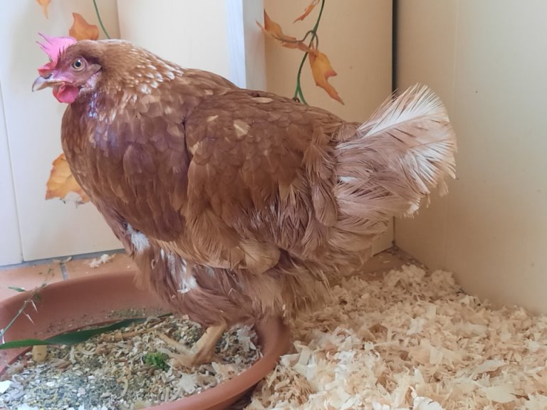 Es geht aufwärts...