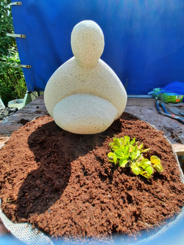 Buddha auf der Insel