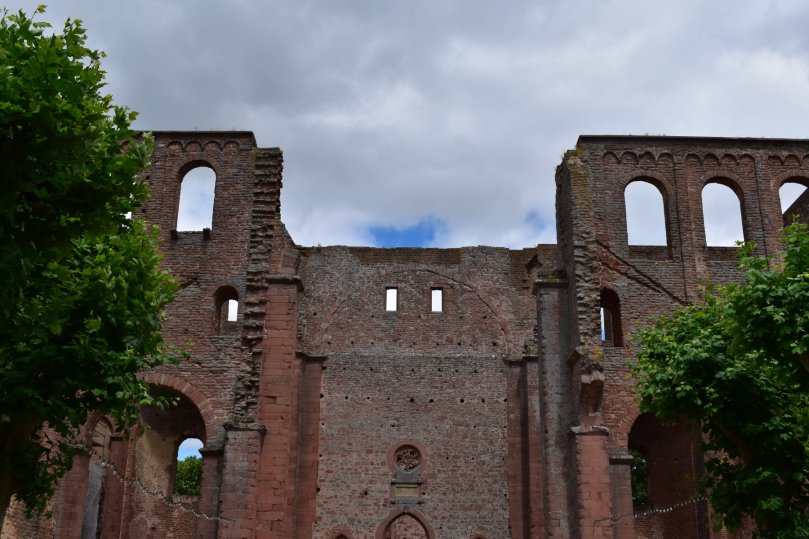 Im Innenbereich wachsen Bäume