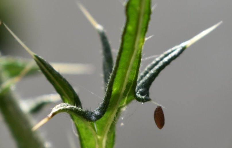 Aber es gab auch was Kleines zu bewundern