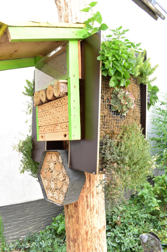 Vertikales Beet mit Insektenhotel