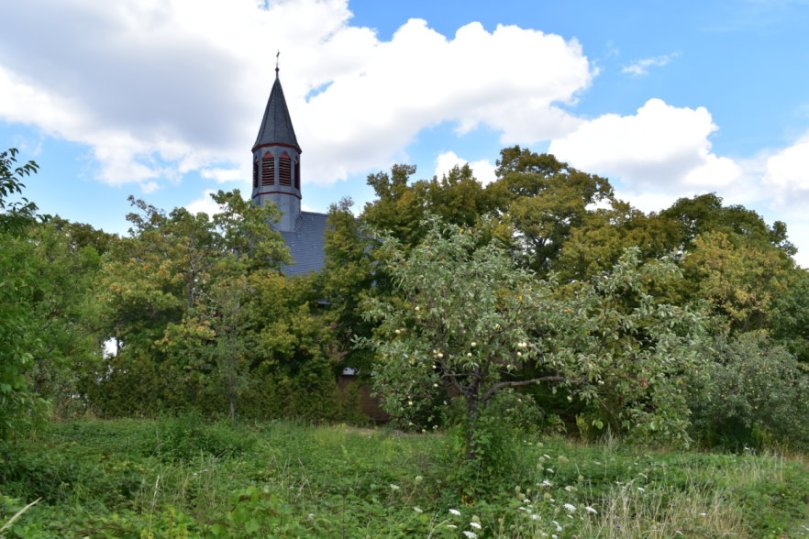 Streuobstwiese vor der Marienkapelle