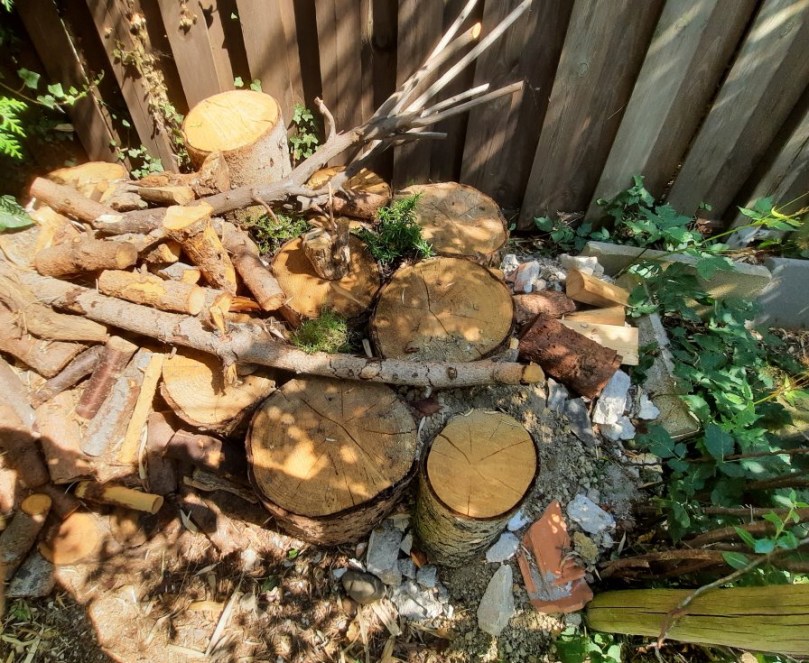 Ich habe neben Fichtenholz auch Stücke von Holunder, Weide und Pflaume eingesetzt, damit auch möglichst viele Insekten dort einen Platz finden. Totholz kann zum artenreichen Lebensraum werden, speichert zudem Wasser, und die Hohlräume zwischen den Hözern, die ich teilweise auch mit Sand bestückt habe, sind ein toller Rückzugsraum. Die Hölzer speichern Sonnenwärme und sind somit ein Anziehungspunkt für wärmeliebende, wechselwarme Tiere, wie z.B. Eidechsen.