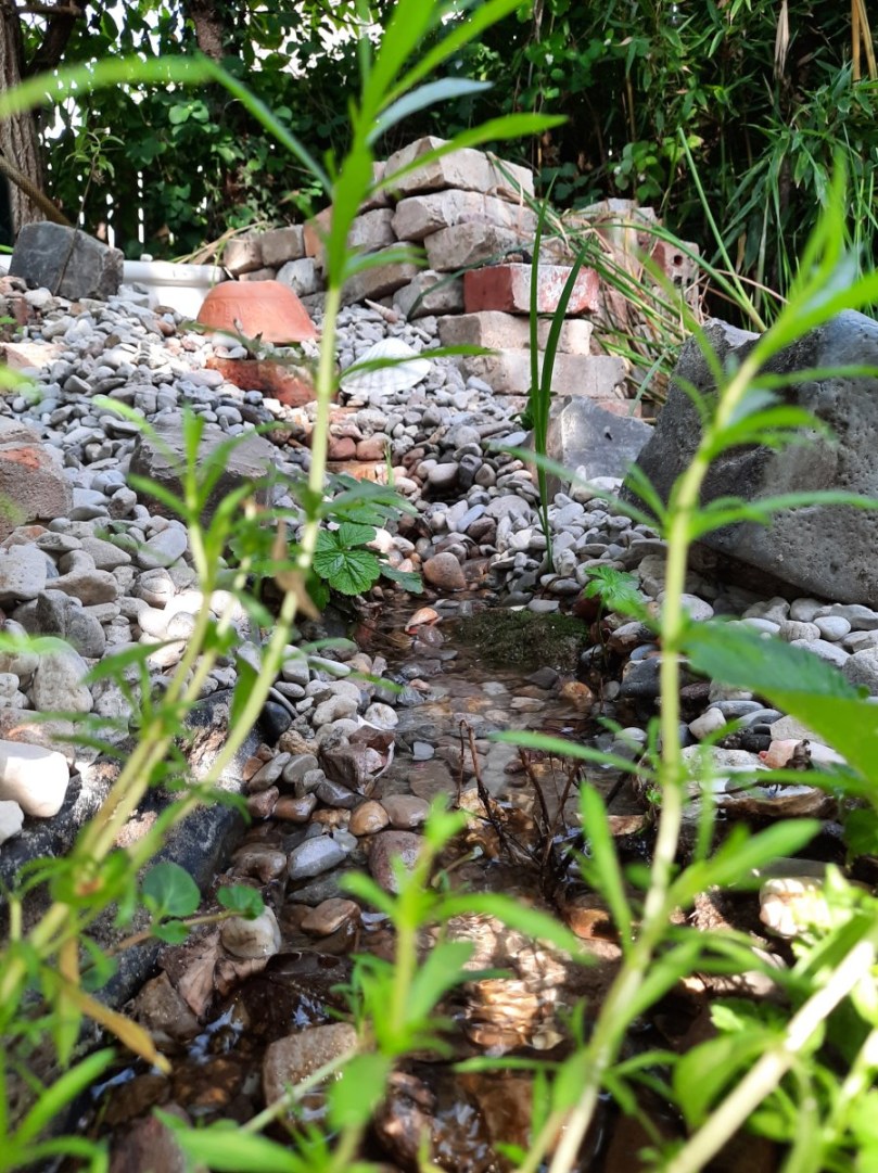 Der Bachlauf läuft...