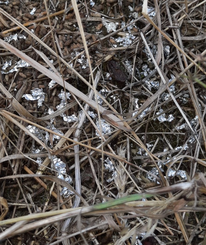 Leider kein Feenstaub