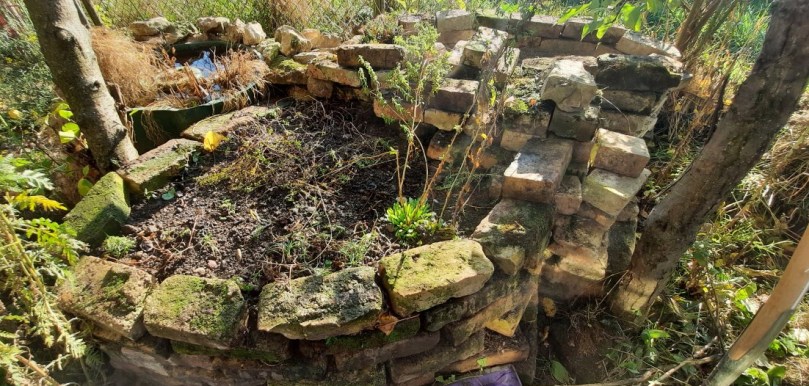 Hier sieht man nun auch den kompletten Bereich. Nur das Totholz fehlt noch. Neben Wasserbecken, Sandarium und Trockenmauer beherbergt der Bereich nun auch noch eine bepflanzte Trockenmauer: Ehrenpreis, Thymian, Hauswurz, Mauerpfeffer, Felsennelke und andere Nelken, Gundermann und ganz viele Zwiebelblüher sitzen nun in der Erde. In kürze folgt noch links die Totholz-Höhle, die alte Wildbienenwand wird gestützt und ein wenig saniert...