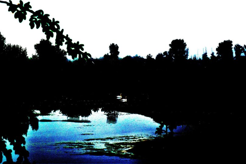 Das gleiche Bild mit mehr Kontrast