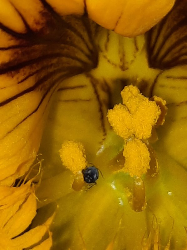 Wer nascht denn hier?