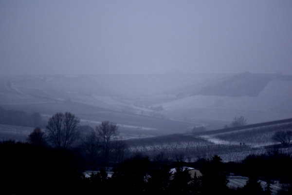 Blick in die Weinberge