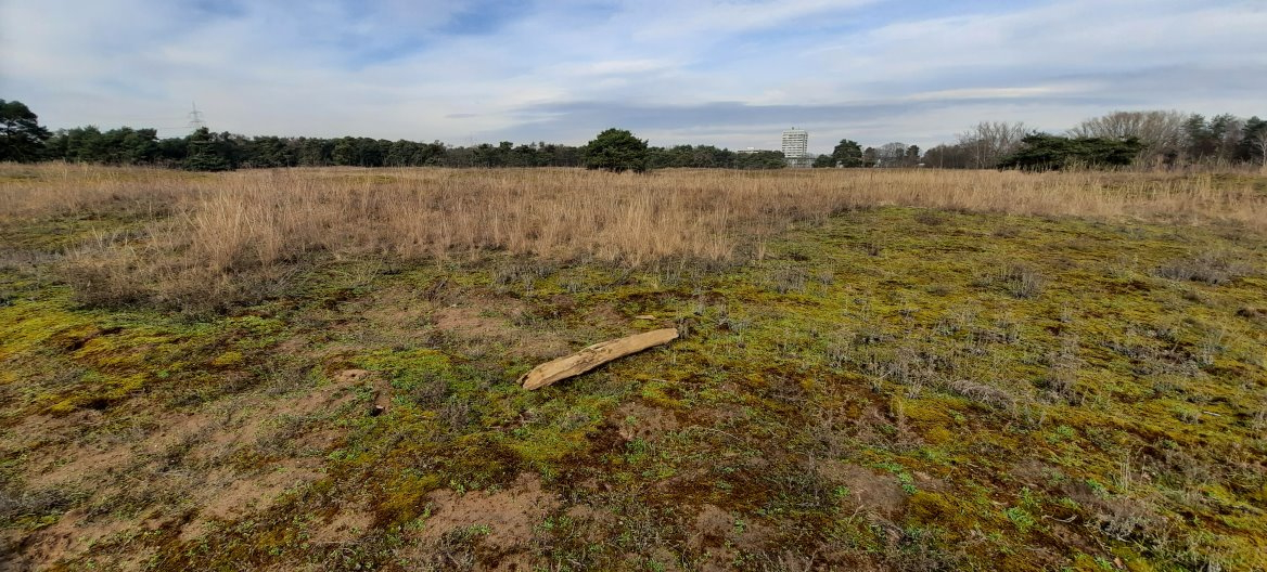 Besonderer Lebensraum