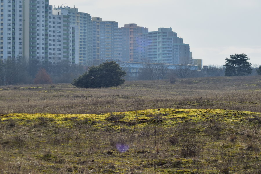 Mainzer Sand vor Hochaussiedlung