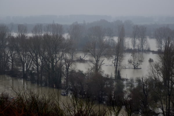 Insel Kisselwörth - Land unter