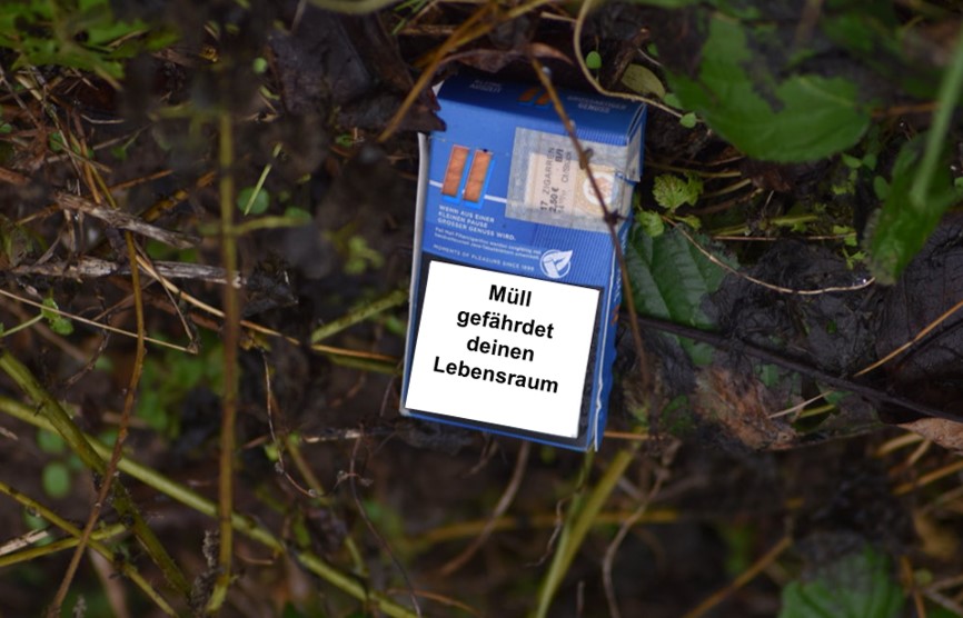 Müll gefährdet deinen Lebensraum