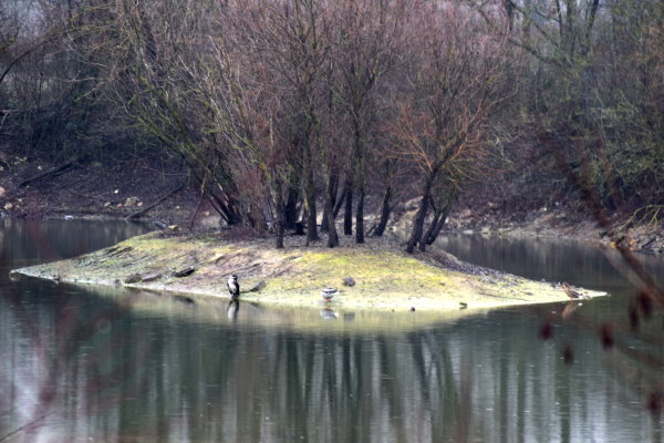 Trocken im Hochwasser