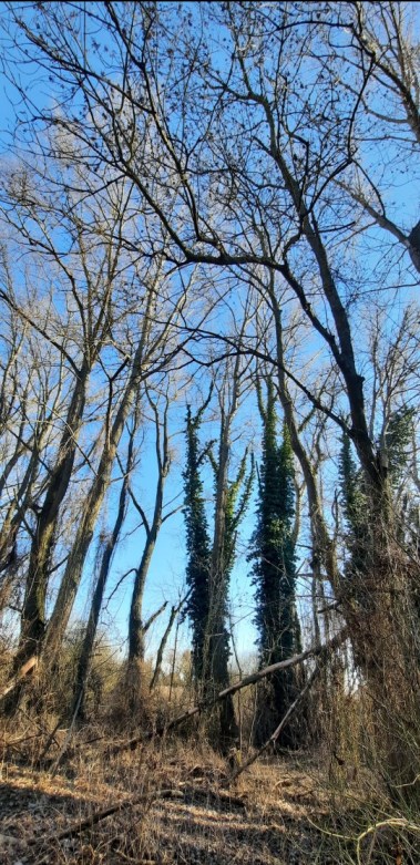 Nicht alles stand Kopf