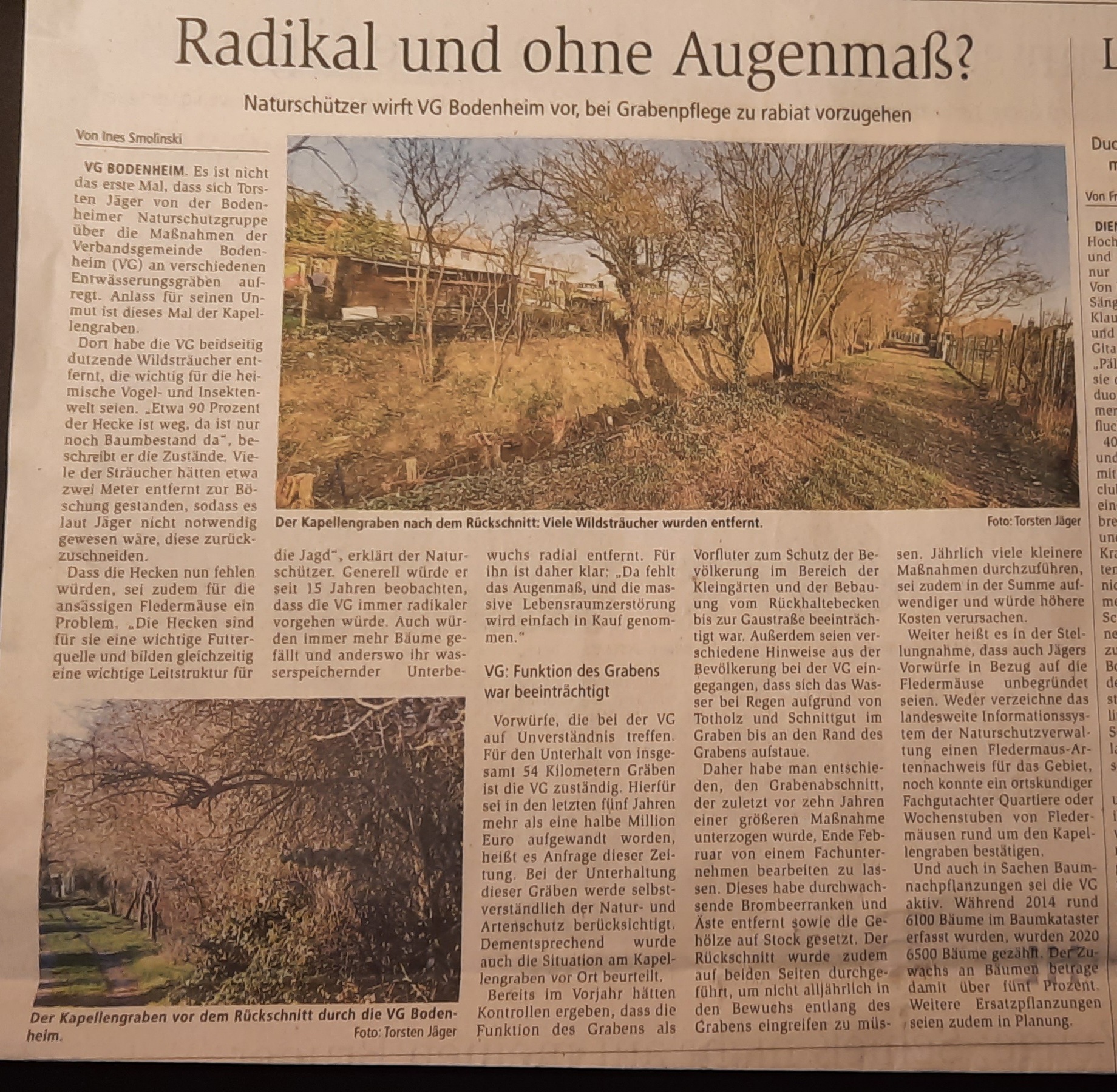 Artikel in der Allgemeinen Zeitung Mainz
