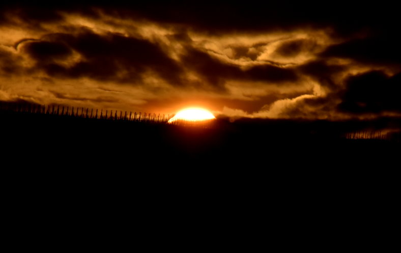 Sonnenuntergang hinter den Weinbergen