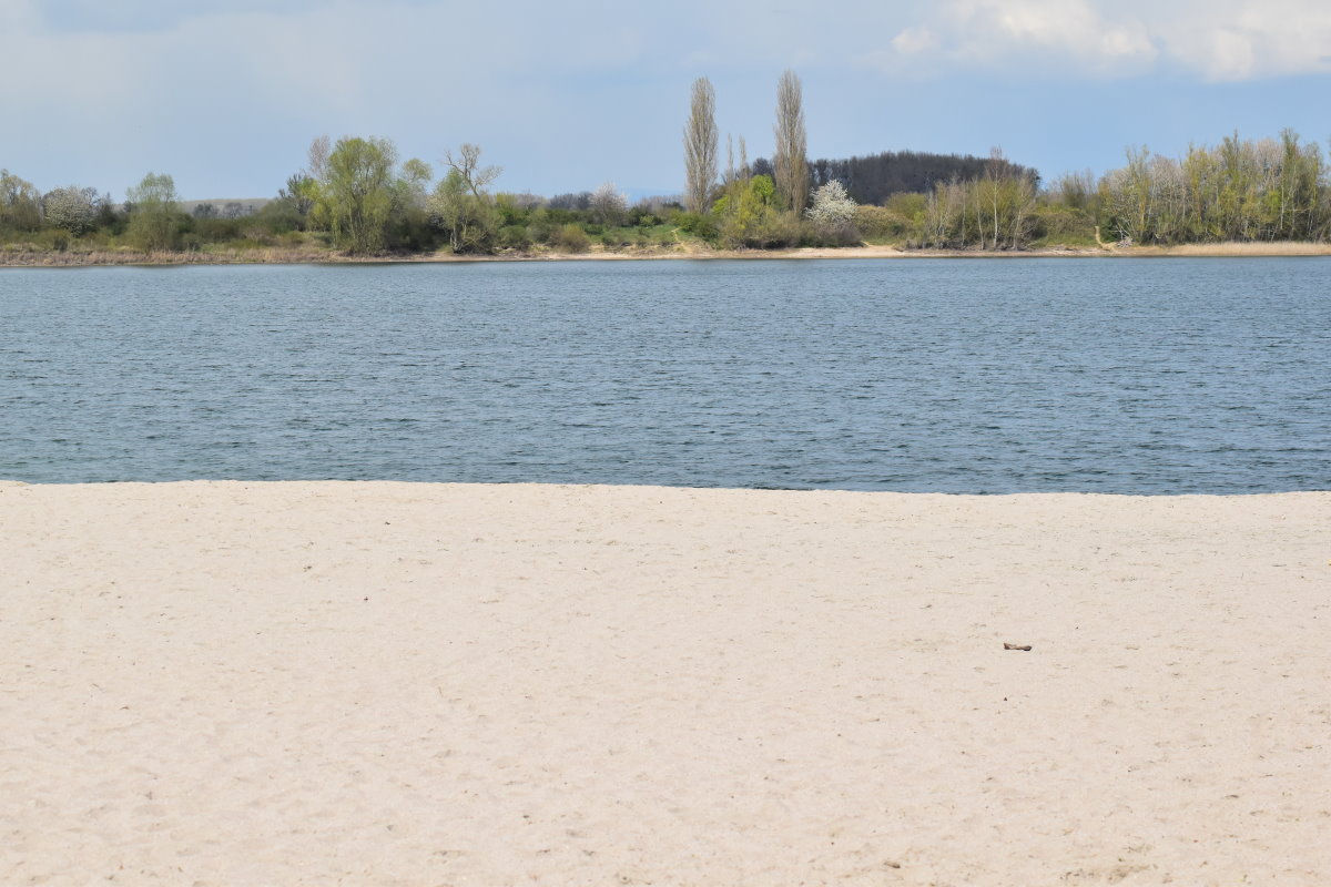 Blick vom Strand auf den See