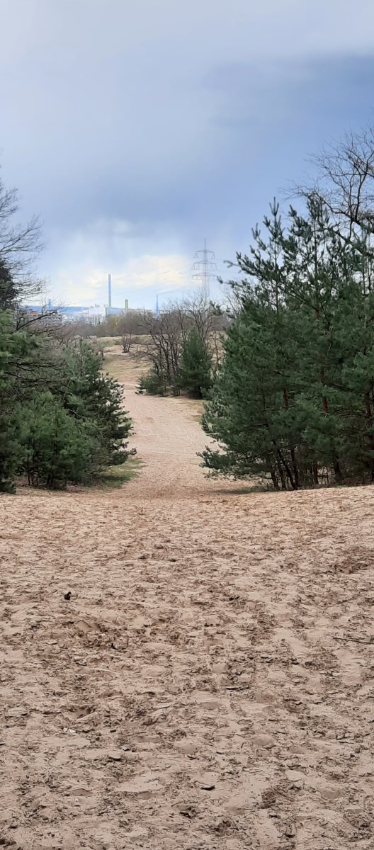 Natur und Industrie - dicht an dicht...