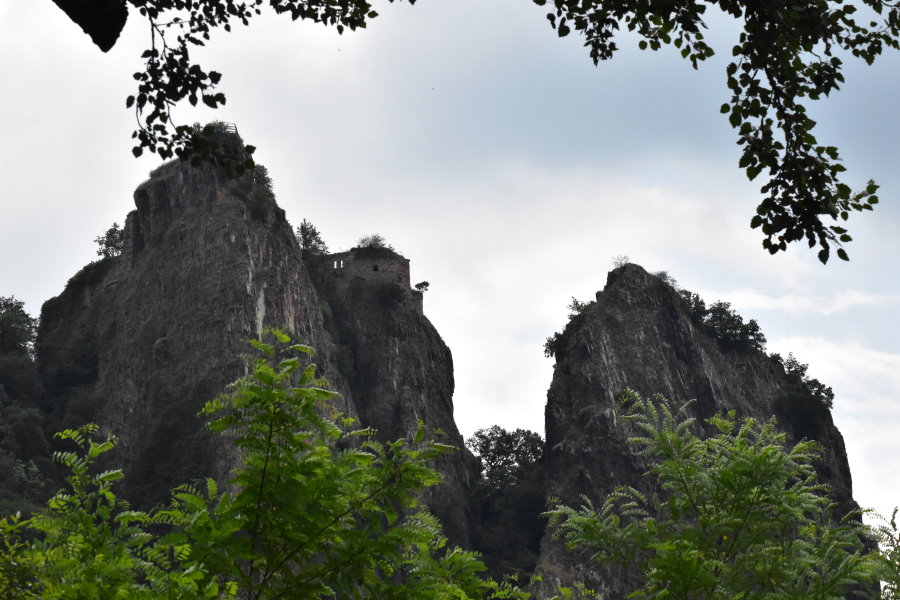 Burg Rheingrafenstein