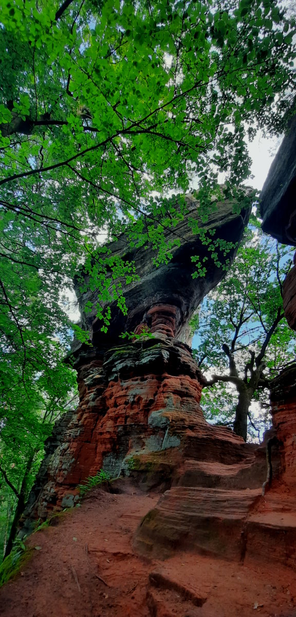 Roter Sandsteinfels mitten im Wald